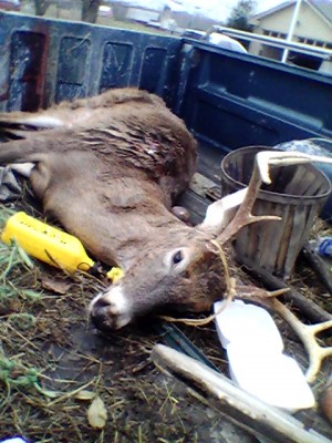 Chris' Buck.JPG