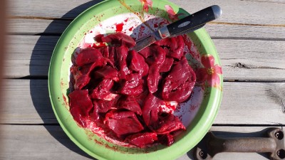 Antelope Heart_split between me and the dogs.jpg
