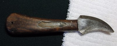 CIMG6025.JPG