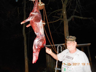 DSCN4074.JPG (716.38 KiB) Viewed 5341 times One blade, one deer, still sharp.