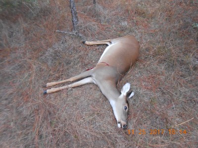 Doe from the lease property.
