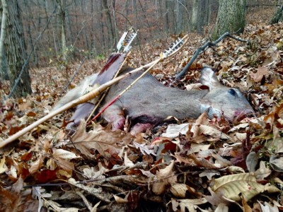 11-25-17 doe  1 - 1.jpg
