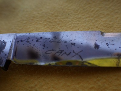 RIMG1134.JPG