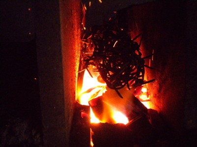 DSCN7844.JPG
