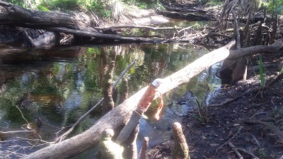 20171122_110640.jpg