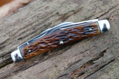 IMG_7929.jpg