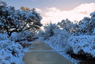 Driveway-small.jpg