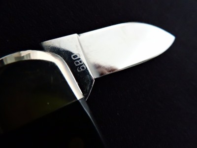 DSCN9250.JPG
