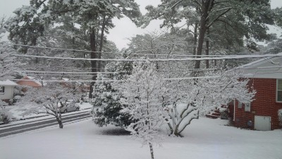 IMG_20171208_120237.jpg