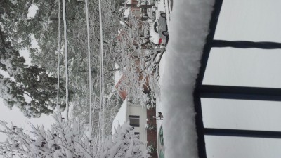 IMG_20171208_120318.jpg