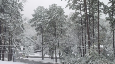 IMG_20171208_120345.jpg