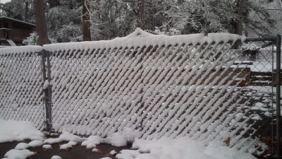 IMG_20171208_154607.jpg