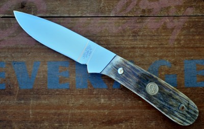 CS DP Moose_382.JPG