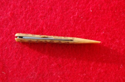 DSC_1394.JPG