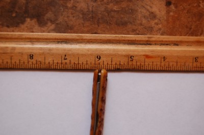DSC_1398.JPG