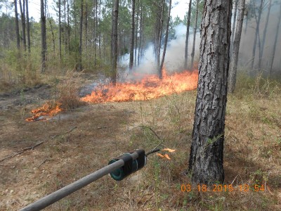 During the burn