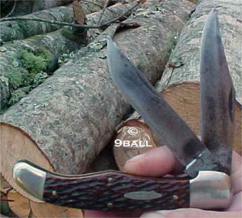 EIG Bone Hunter.jpg