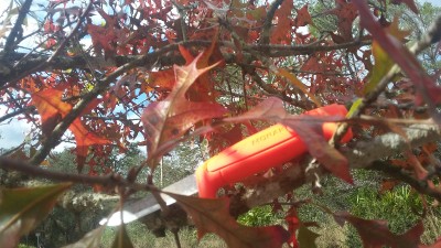 20180110_121018.jpg