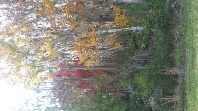 20180110_160136.jpg