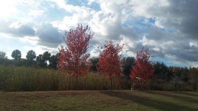 20180110_163535.jpg