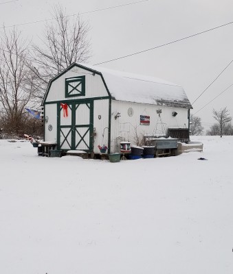 20180113_073721.jpg