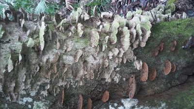 20180113_114956.jpg