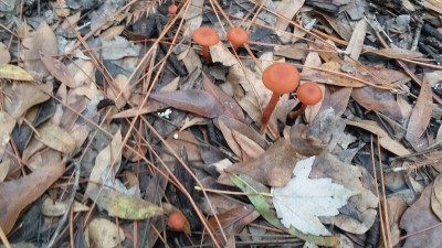 20180113_114046.jpg