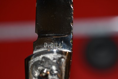 DSC_8168.jpg