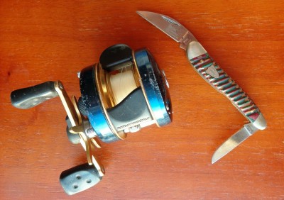 Steel Warrior