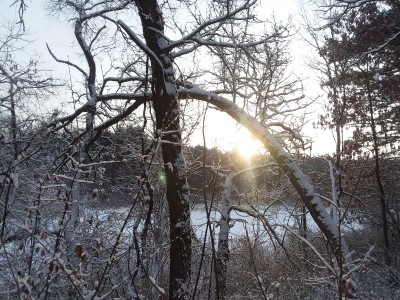 20180116_081353.jpg