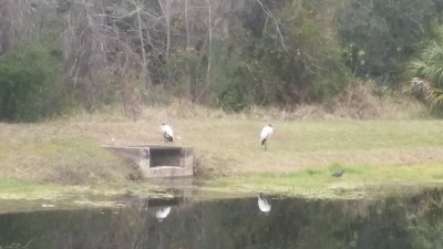20180117_123703.jpg
