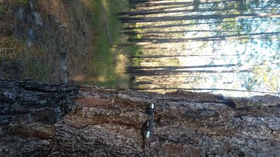 20180119_162600.jpg