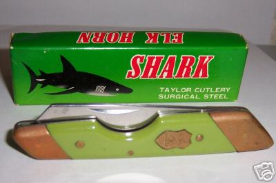 sch1taylorshark.jpg