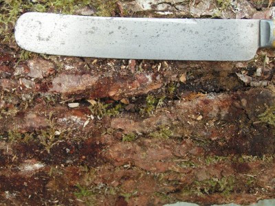 PICT0043.JPG