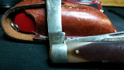 IMAG2509.jpg