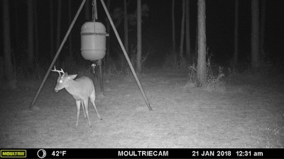 He's aware of an intruder.