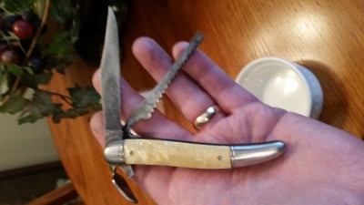 20180201_120903.jpg