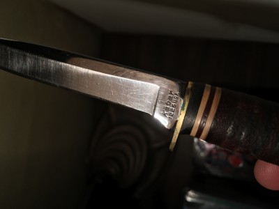 image5.jpeg