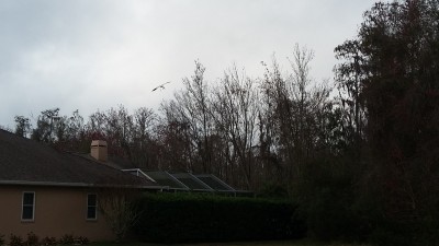 20180210_092449.jpg