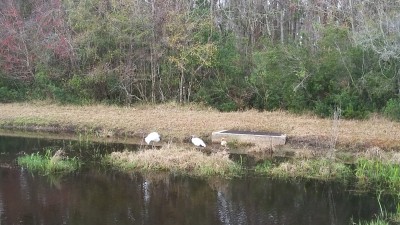 20180210_092520.jpg