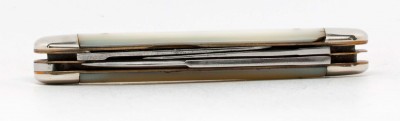 Waterville Cattle Pearl #5 small.jpg