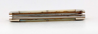 Waterville Cattle Pearl #5b small.jpg