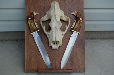 lion display 408-409 002.JPG