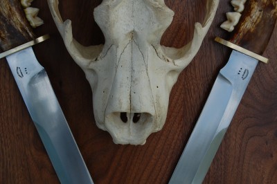 lion display 408-409 003.JPG