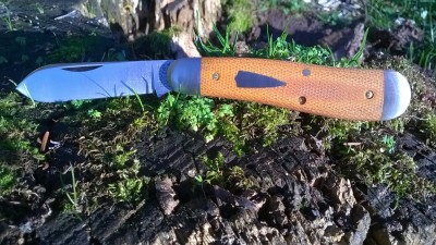WP_20180212_058.jpg