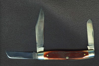 Sanders bone 8 OT003.jpg