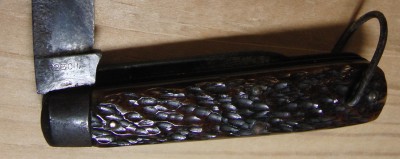 CIMG7205.JPG