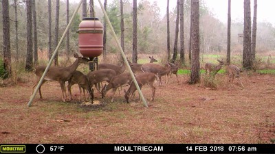 Mommas and youngsters on Valentine Day.