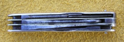 IMGP3574.JPG