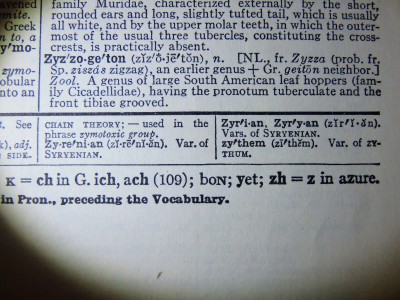 DSCN9321.JPG